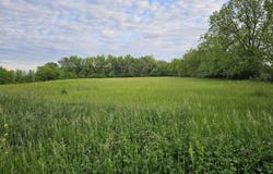 32nd Street, Grinnell, IA 50112