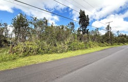 LEHUA ST, Mountain View, HI 96771