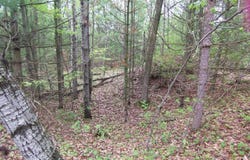 COUNTY ROAD S, SOBIESKI, WI 54171-0000