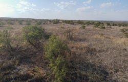 0 Tr 24 DAVISON Drive, Valle de Oro, TX 79124