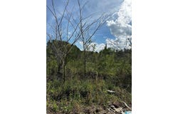 2730 GLOVERS BEND ROAD, DORA, AL 35062