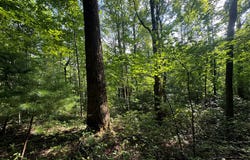 Tba Meadow Run Lane, Hillsville, VA 24343