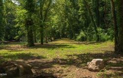 US-412, Linden, TN 37096