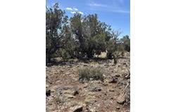 26 Spruce Dr Road, Concho, AZ 85924