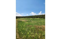 Escalante Road, Edgewood, NM 87015