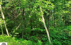 0 Hillside Drive, Alger, MI 48610