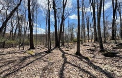 Butternut Lane, Greentown, PA 18426
