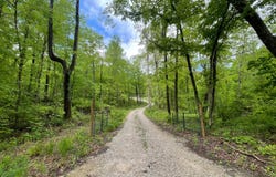 7985 Alamo Road, Tell City, IN 47586