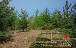 Lot 4 W Pendills Lake Road, Brimley, MI 49715
