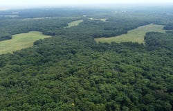 01 CR 1044, Auxvasse, MO 63367