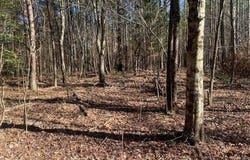Tract 2 Lone Wolf Trail, Spencer, TN 38585