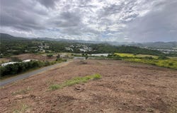 COAMO, 00769