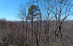 Tract 5 KESSEL ROAD, GREAT CACAPON, WV 25422
