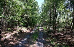 681 New Hope Road, Orangeburg, SC 29118