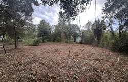 323 CARTERET Road, Georgetown, FL 32139
