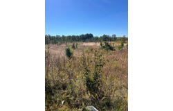 0  Sunset Drive (6 acres), Grenada, MS 38901