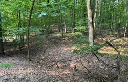 9619 Calgary Drive S, Canadian Lakes, MI 49346