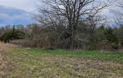 S State Route D Highway, Drexel, MO 64742