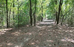 XXX HWY 70, Newhope, AR 71950