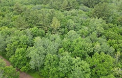 Wilderness Retreat lot: 5, Pine City, MN 55063