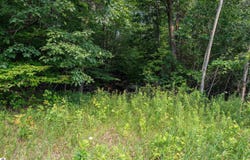 0000 Grandview Road, Traverse City, MI 49684