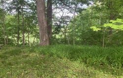 11045 Westfield Boulevard, Carmel, IN 46280