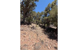 9th Trail, Cotopaxi, CO 81223