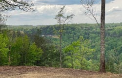 Lot 51 Grandview Way, Jamestown, TN 38556