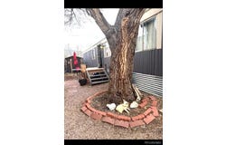 910 J Street, Salida, CO 81201