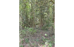 Lot 23 Buckhorn Church Road, Como, NC 27818