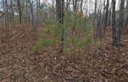 00 Highway 18, Medon, TN 38356