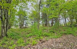 Co Rt 2, Richland, NY 13142