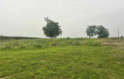 2957 IA 13, Ryan, IA 52330-0000