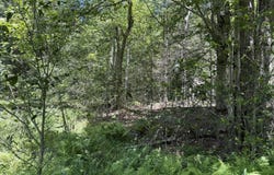 10 Pine Way, Newfoundland, PA 18445