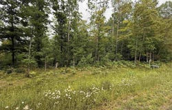 Unit 2 Greenway, Portage, MI 49931