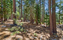 2160 Mewuk Drive, South Lake Tahoe, CA 96150