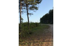14.6 Acres Hwy 48 E, Sandy Hook, MS 39478