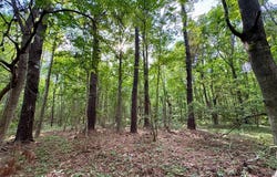 250 Wimbee Landing Road, Seabrook, SC 29940