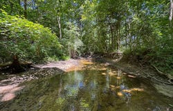 10347 Irish Road, Otisville, MI 48463