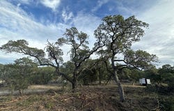 903 FOREST TRAIL DR, Bandera, TX 78003-3721
