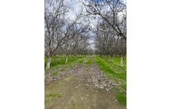 18 3/4 Avenue, Lemoore, CA 93245