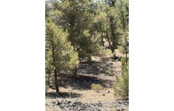 9th Trail, Cotopaxi, CO 81223