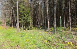 Lot C HOMERS RD, Mercer, WI 54547