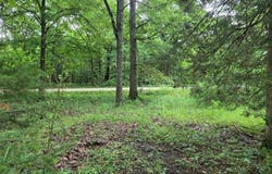 951 County Road 514, Wappapello, MO 63966