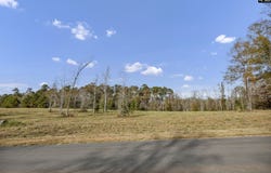 0 Woodside Shores Drive, Prosperity, SC 29127