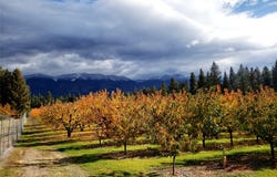 32624 S Finley Point Road, Polson, MT 59860