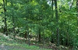 Lot 10 Trillium Heights, Brasstown, NC 28902