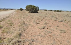 14 CR 5525, Concho, AZ 85924