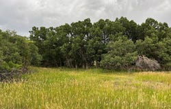 Byzon Court, Colorado City, CO 81019