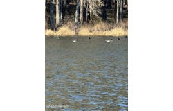 Ramsey Road lot: 4, Chatham, LA 71226